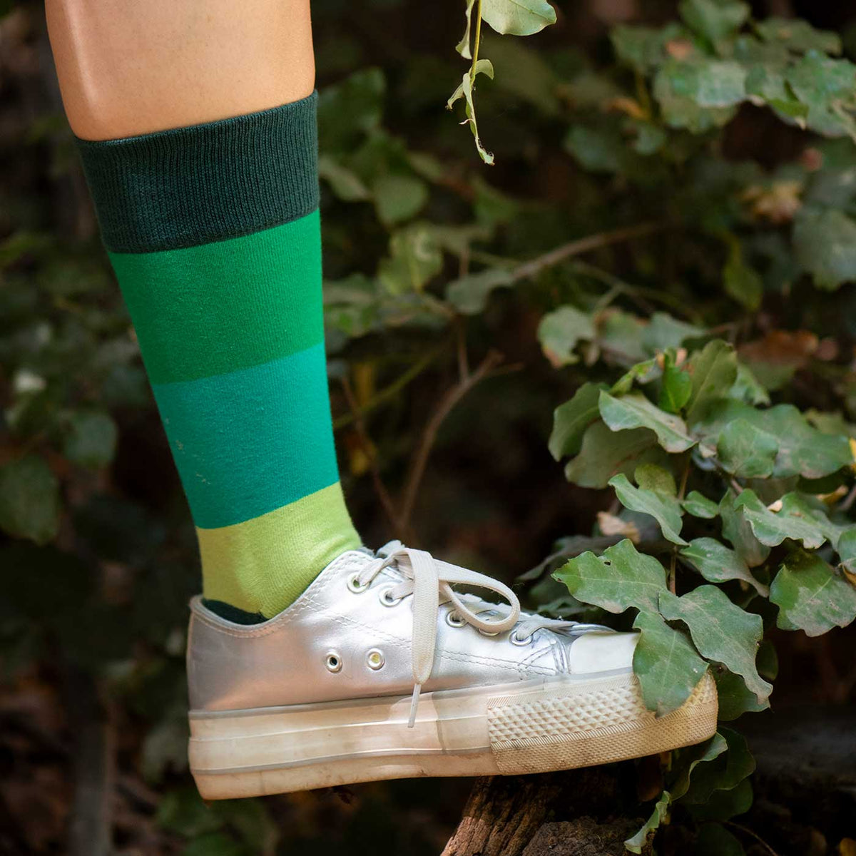 Calcetines Spring lifestyle - Love in Socks