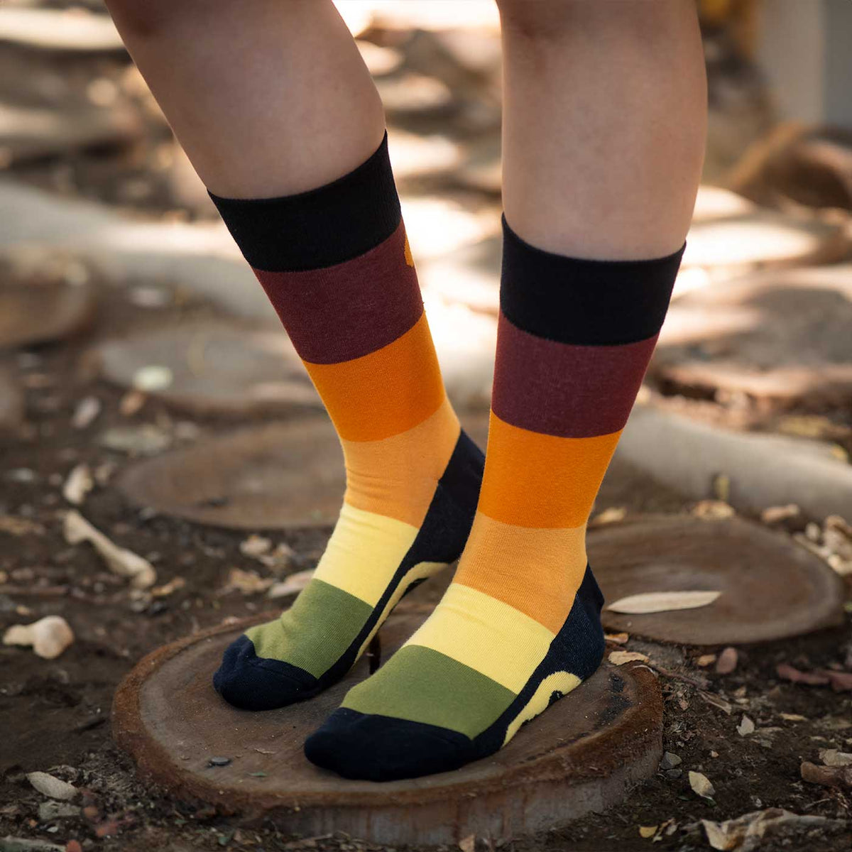 Calcetines Autumn lifestyle - Love in Socks