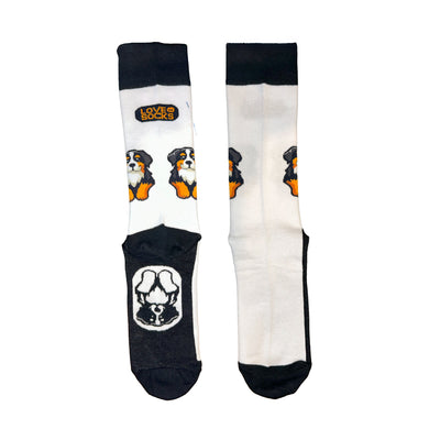 Calcetines Bernese Paws plano - Love in Socks